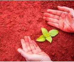 Red soil
